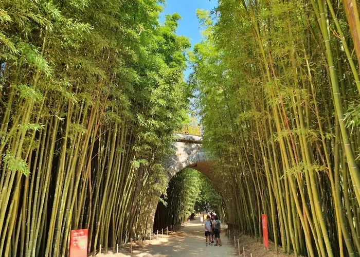 Apartment Maison Blanche *